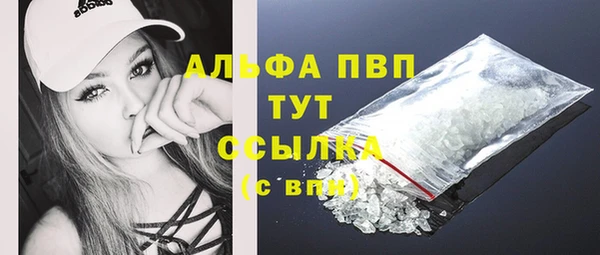 apvp Алзамай