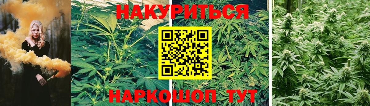 Бошки марихуана сатива  Конопля THC 21%  Каннабис семена  Вход с VPN  Кинель 